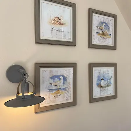 Cap Sur Les Dunes, A Belle Dune *